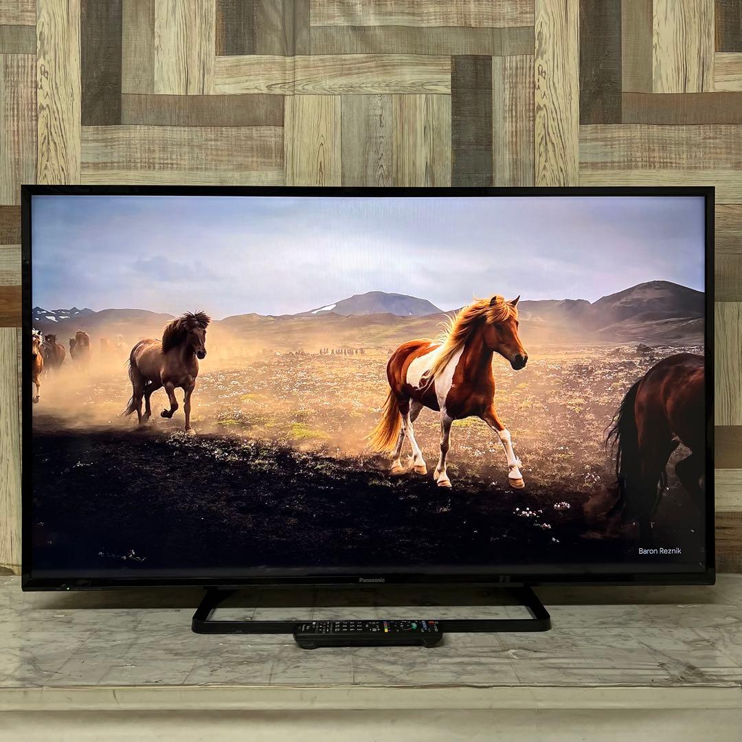 即日受渡❣️全国送料込パナソニック49V型地上デジタルBSCSテレビWチューナー