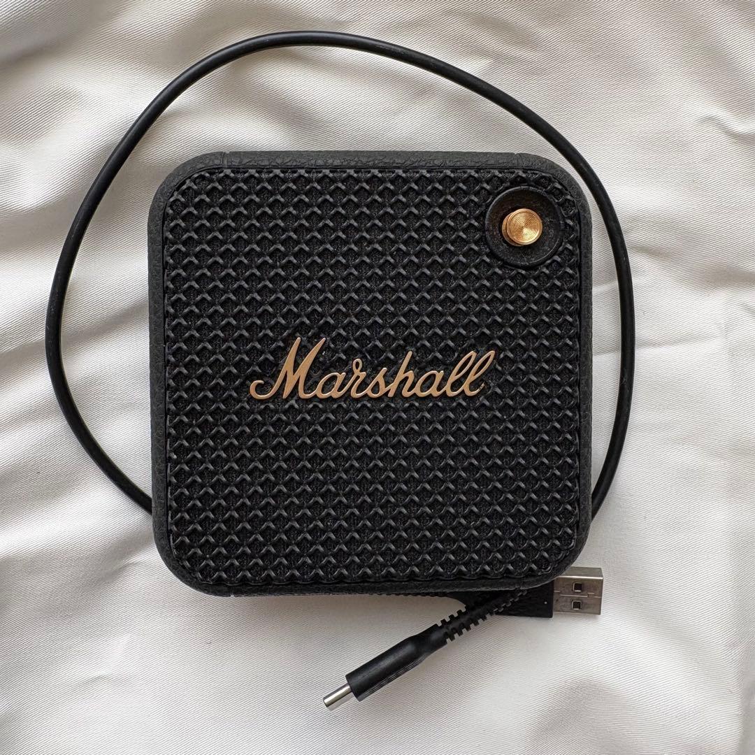 Marshall WILLEN 【本体・ケーブルのみ】