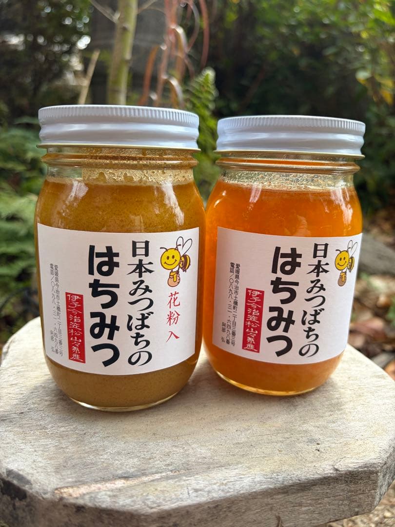 ハチミツ　日本蜜蜂のはちみつ　奥山の奥の蜂蜜結晶化進行中と花粉入り蜂蜜結晶化