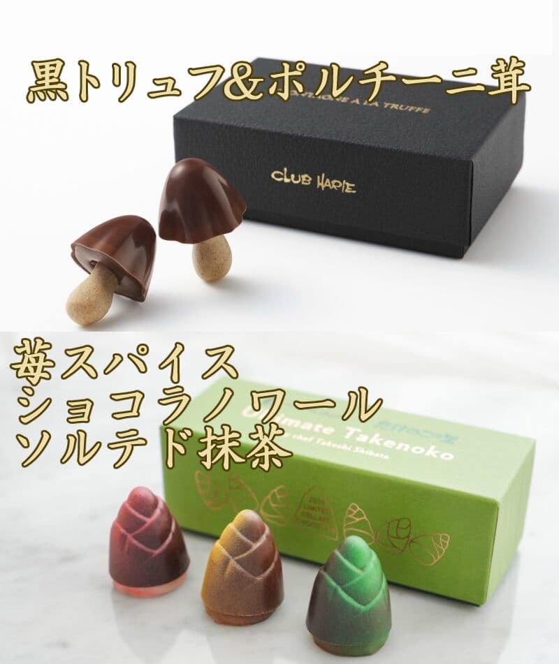 アルティメットタケノコ　MONTAGNE À LA TRUFFE セット