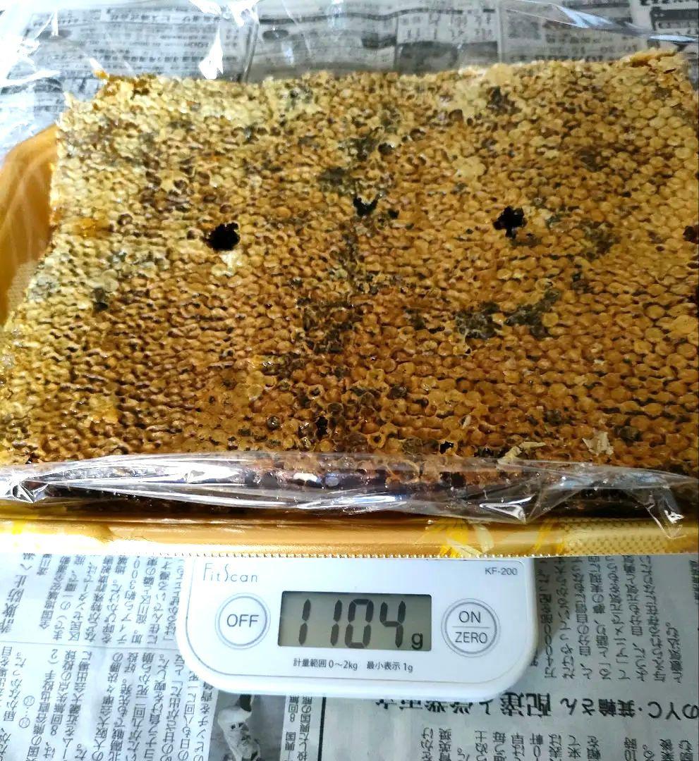 特価8200円 日本ミツバチの巣蜜