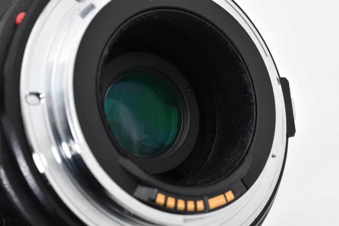 動確済 美品 キャノン TS-E 24 3.5 L Tilt Shift#693