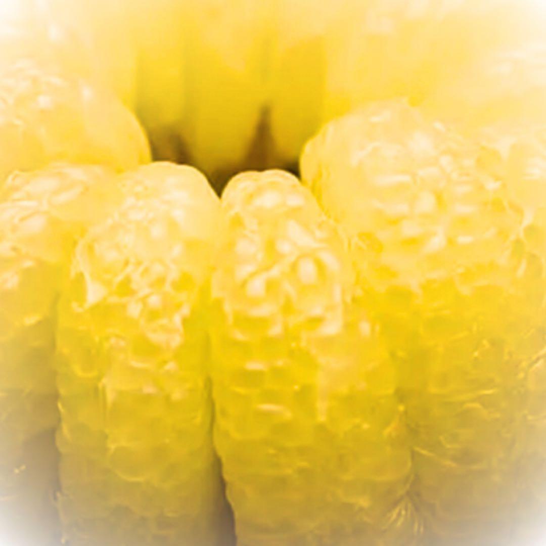 文旦　水晶文旦　みかん　好きに　　90