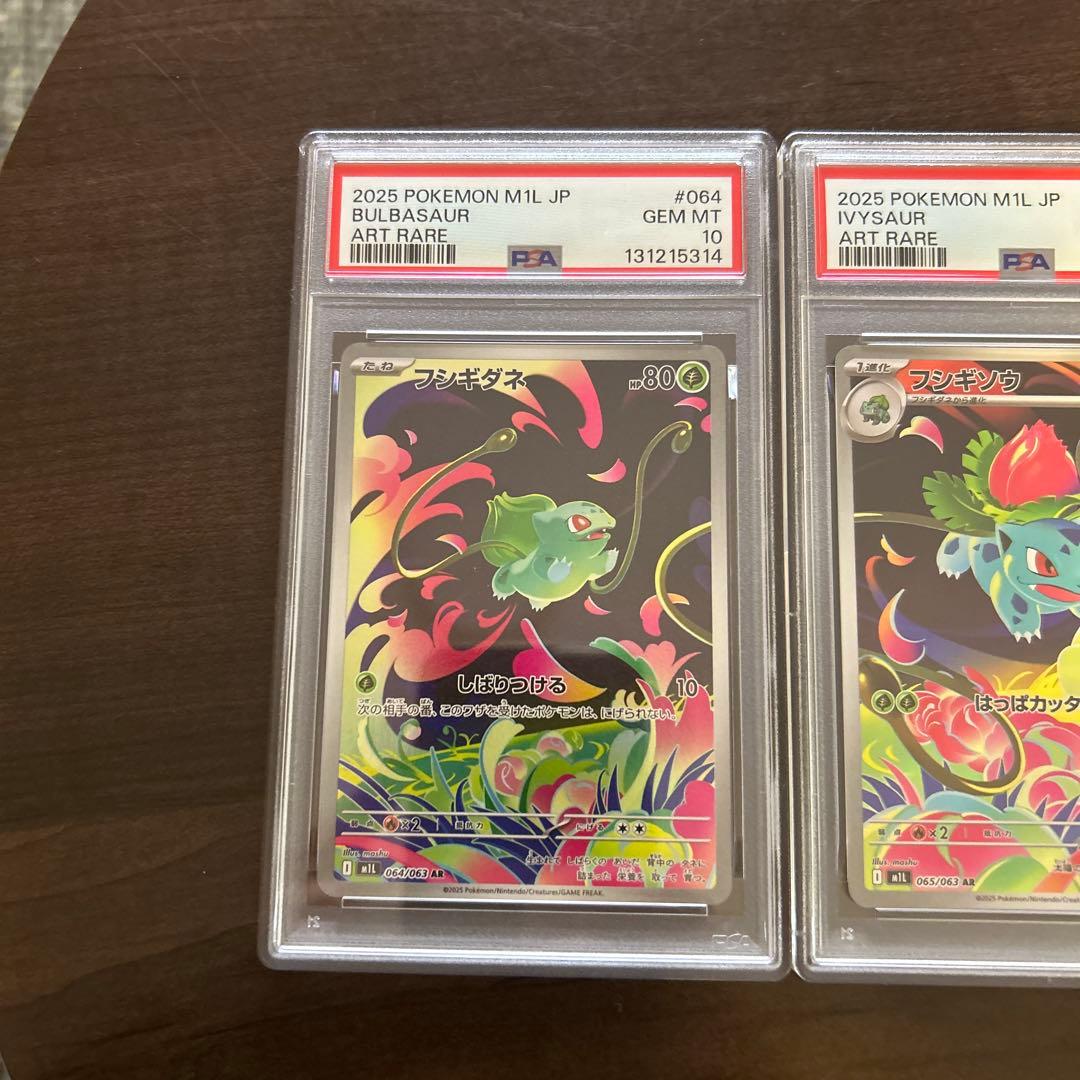 メガフシギバナex 進化ライン PSA10連番セット