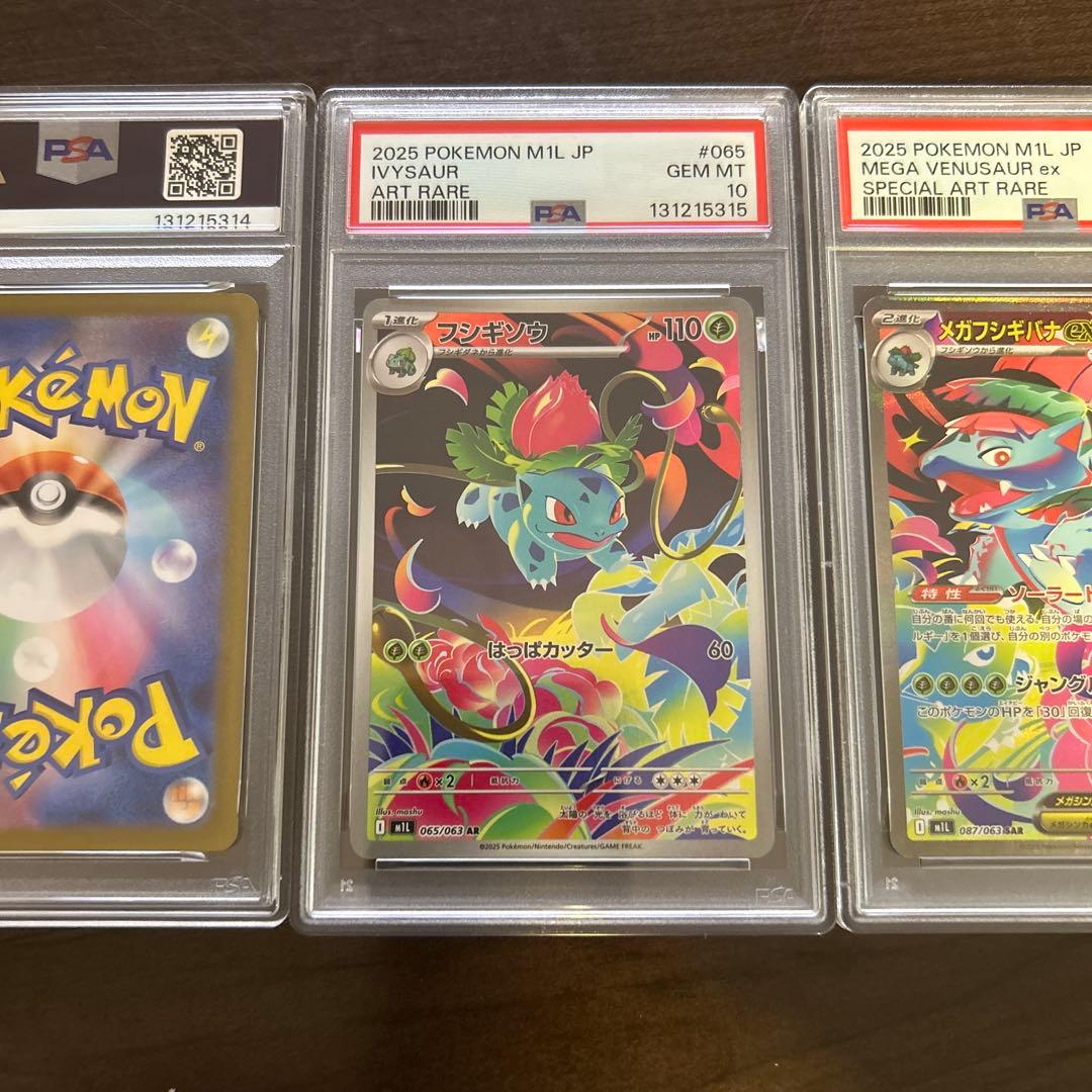 メガフシギバナex 進化ライン PSA10連番セット