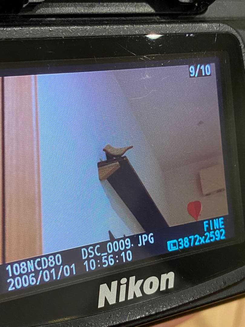 Nikon D80 デジタル一眼AFマクロ　NIKKOR 55㍉　レンズ付　※注