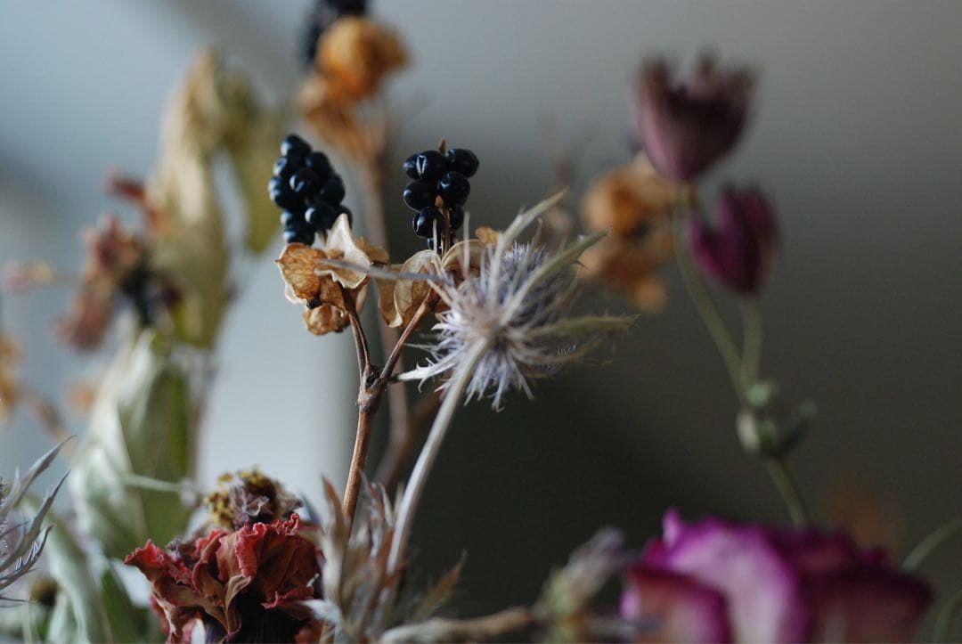 Nikon D80 デジタル一眼AFマクロ　NIKKOR 55㍉　レンズ付　※注