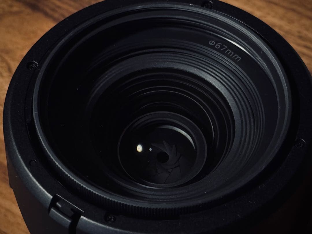 RF28-70 F2.8 IS STM（レンズフード、レンズフィルター付き）