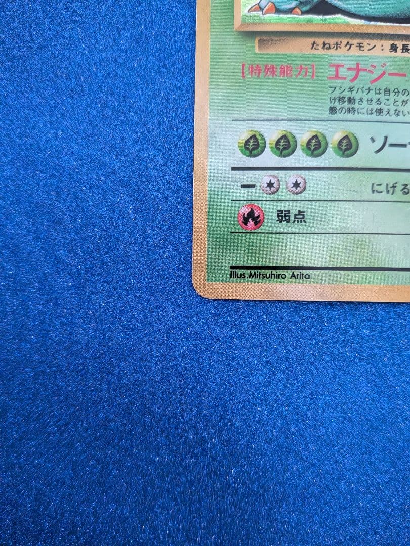 フシギバナ 旧裏