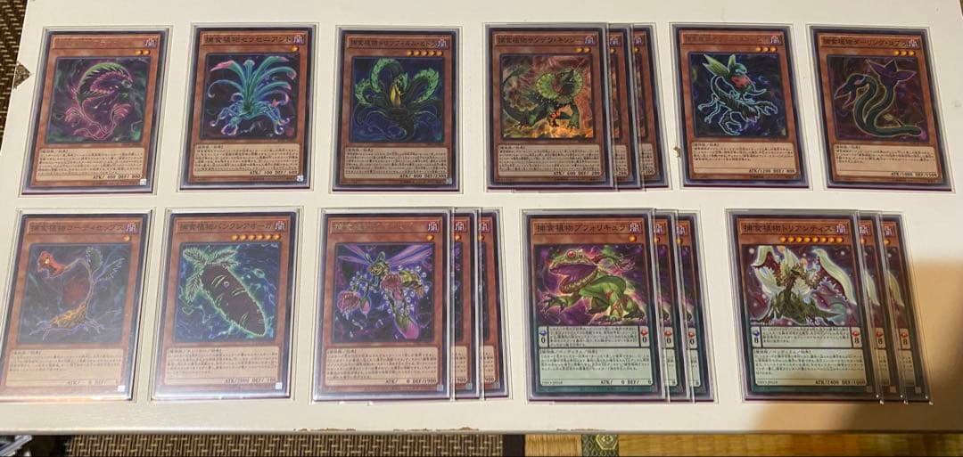 遊戯王 捕食植物 デッキ ユーリ スリーブ