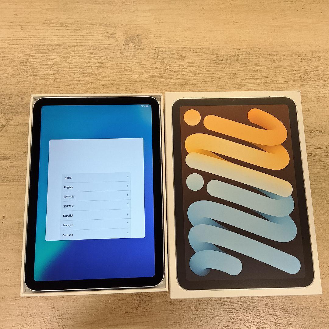 iPad mini A17Pro Cellularモデル（ブルー）