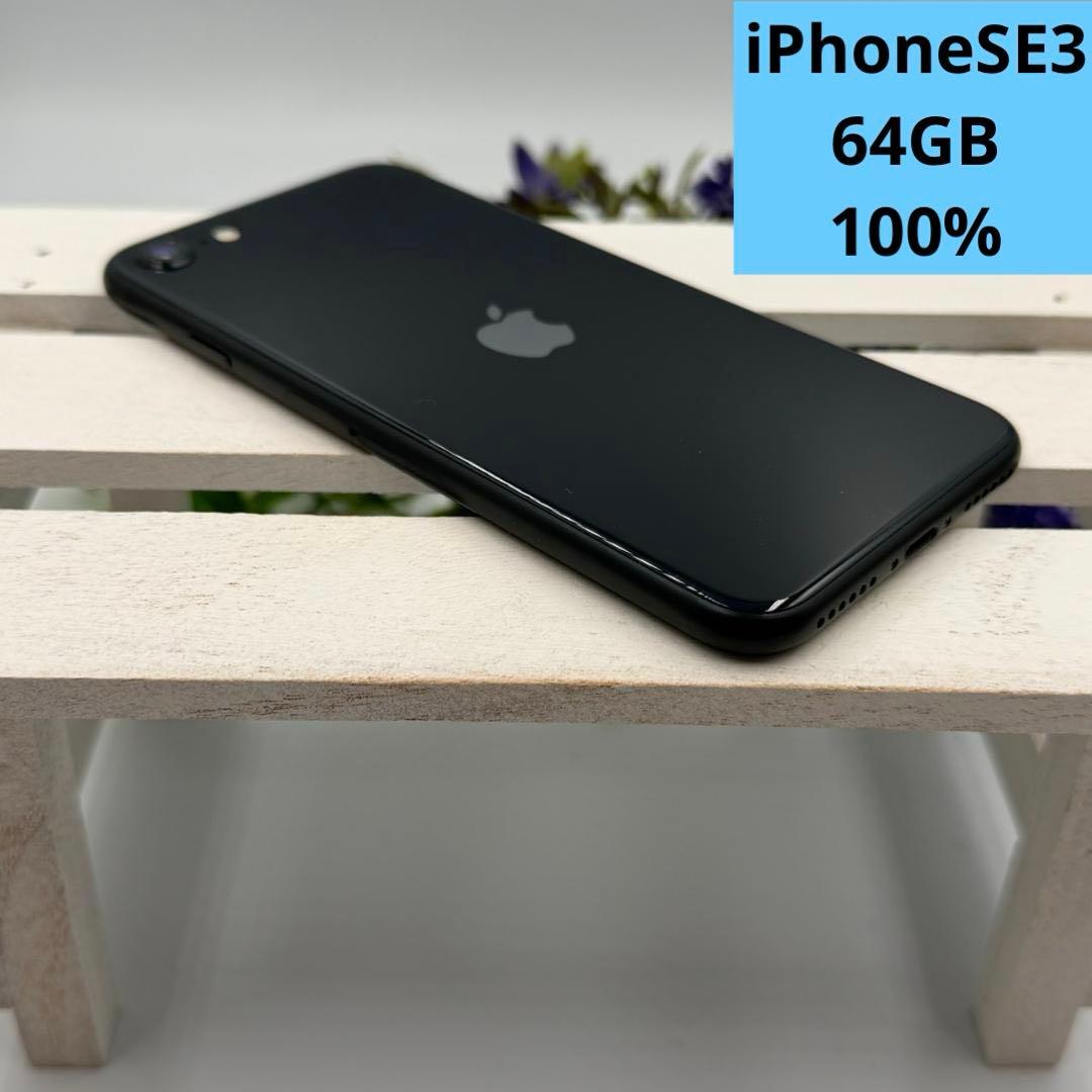 【美品】iPhone SE第3世代 64GB ミッドナイト 366