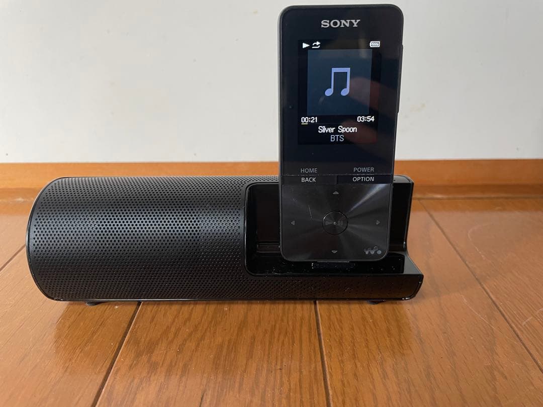 SONY ウォークマン NW-S315