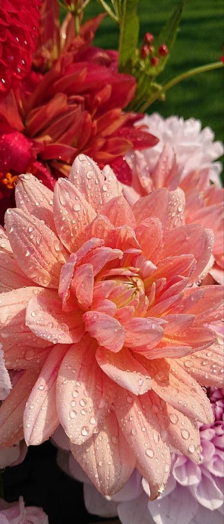 専用です　　ネックレスのみ　BVLGARI　ビーゼロワン