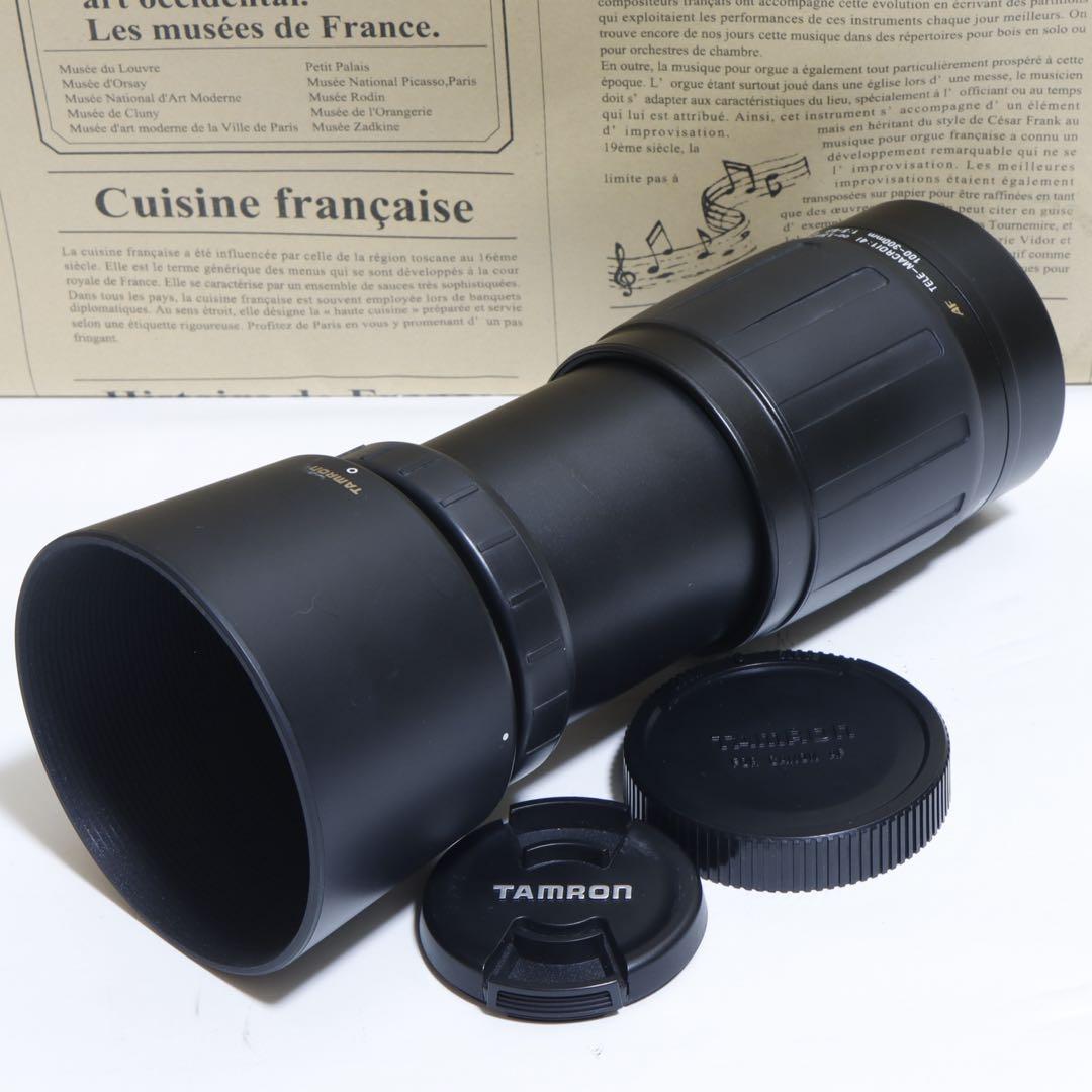 ◇大迫力300mm超望遠◇ TAMRON 100-300mm for Canon