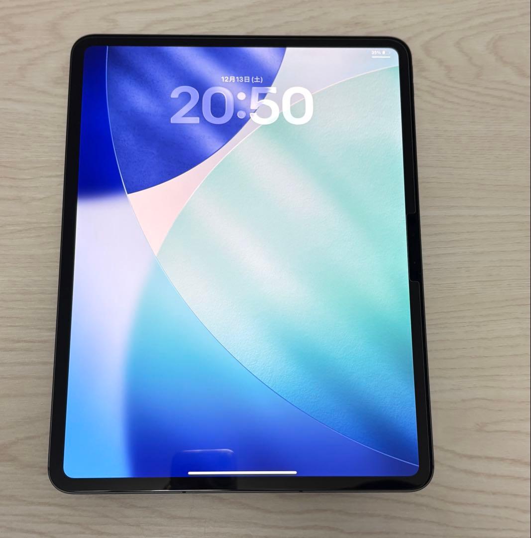 Apple iPad Pro M4 13インチ セルラー　256GB 100%