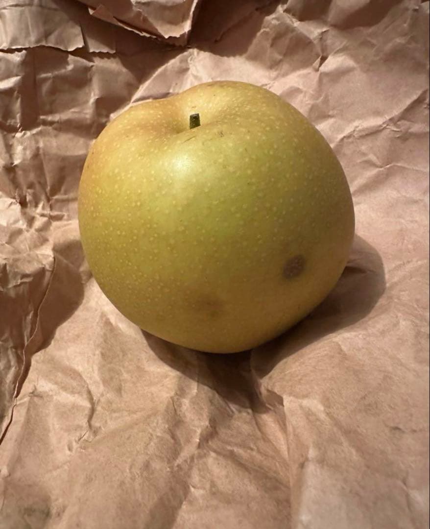 週末限定　梨　新甘泉　家庭用　10㎏