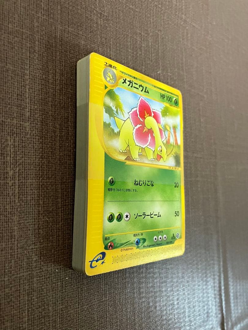 【帯付き】メガニウム　008/029 スターターパック　ポケモンカード　eカード