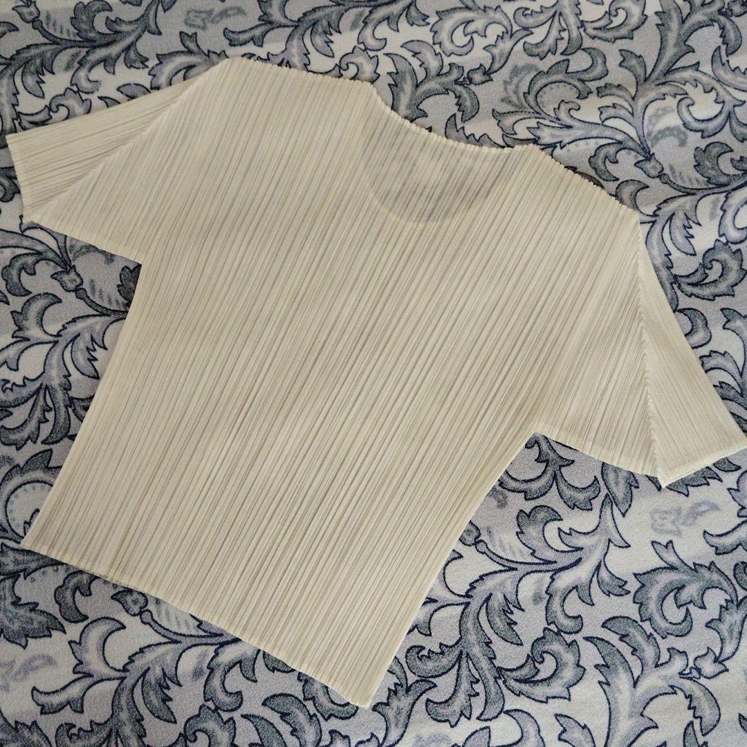 未使用に近い プリーツプリーズカットソー半袖