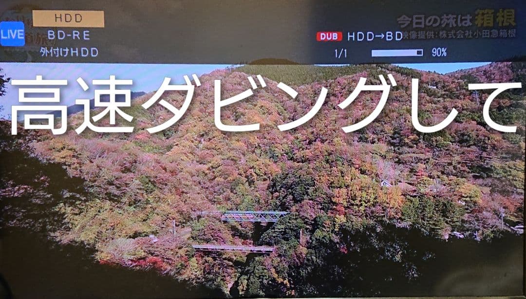 1TB/シャープ/BD-W1700/アクオス/W録/外付HDD/ドラ丸