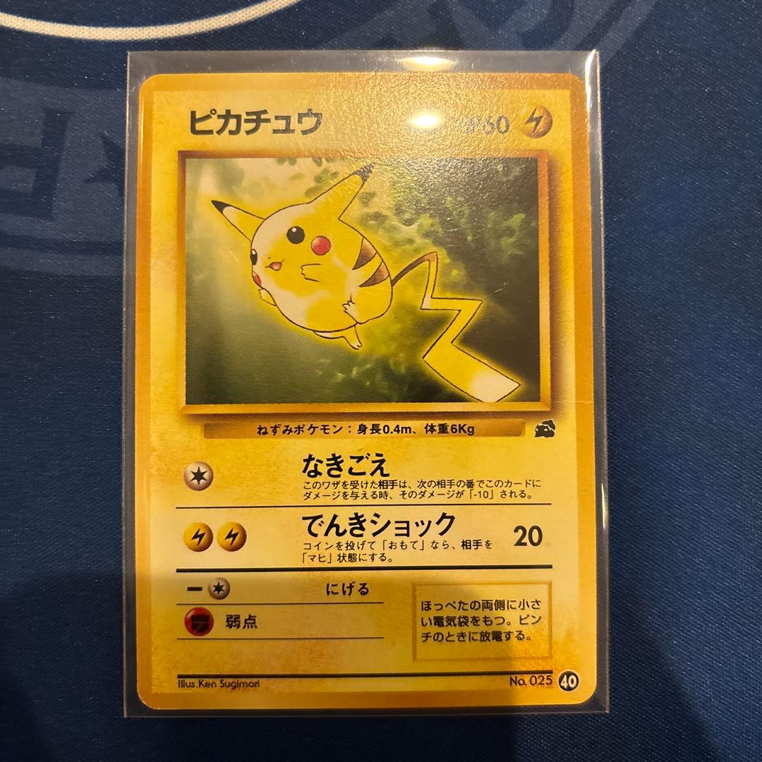 ピカチュウ　ライチュウ イントロパック