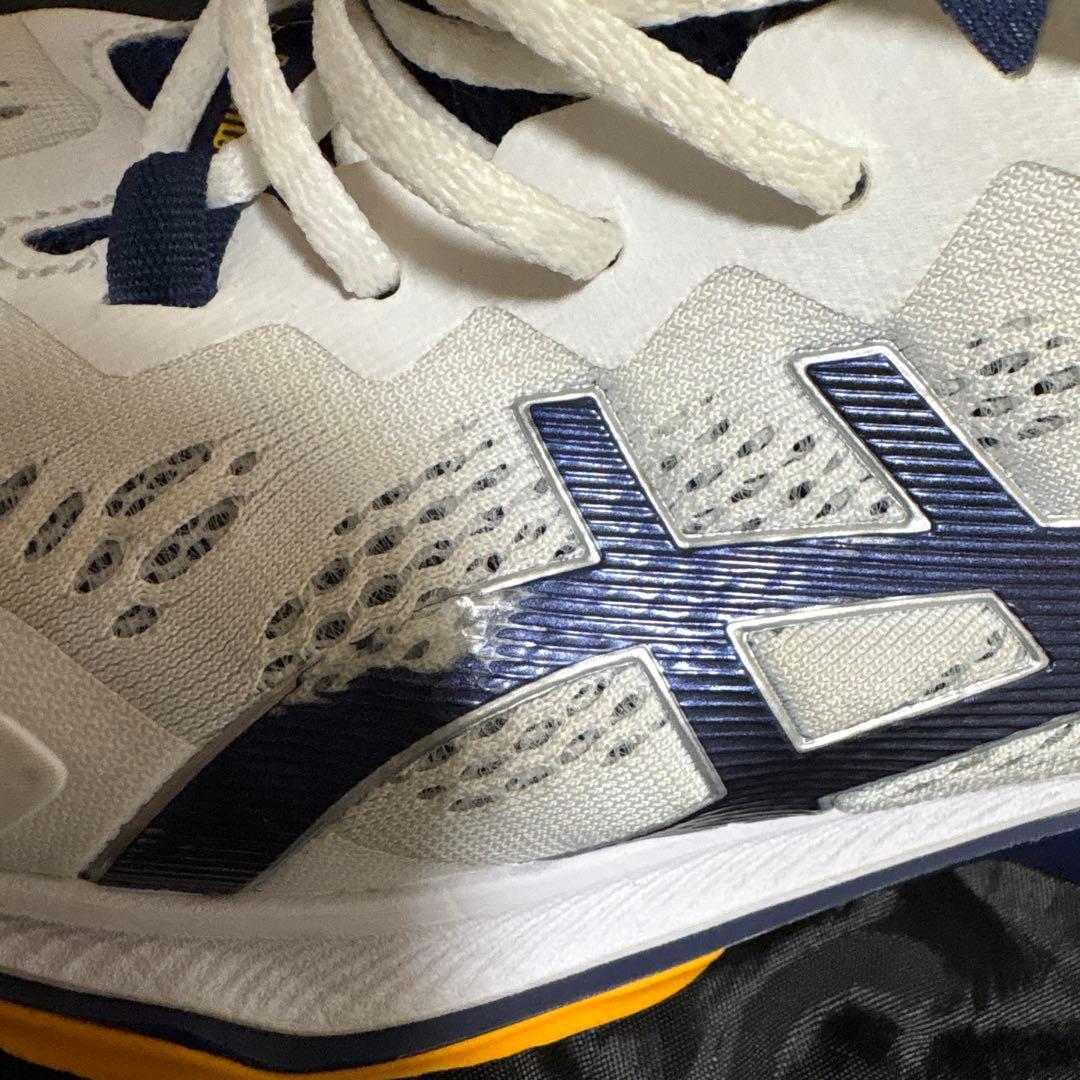 ASICS SKY ELITE FF 2 29センチ