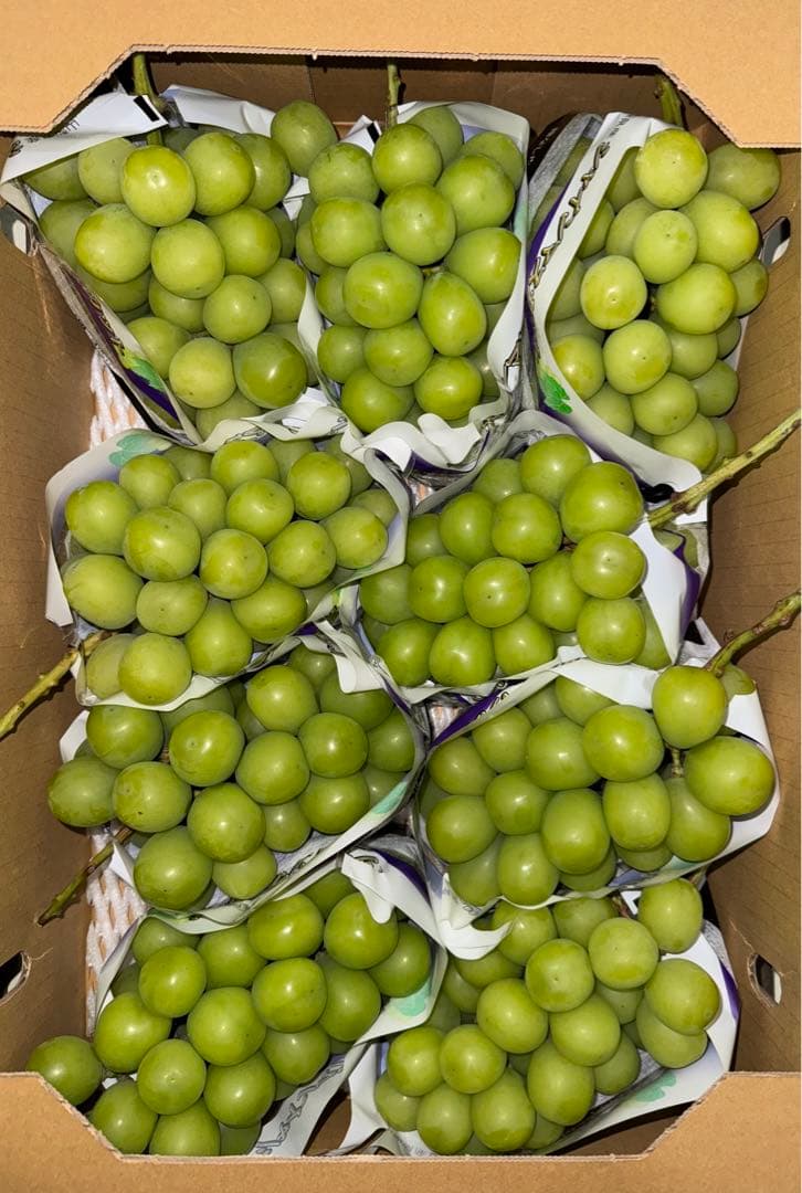 山梨県産JA共選品シャインマスカット⭐️家庭用9房入り箱込み約5.6キロ