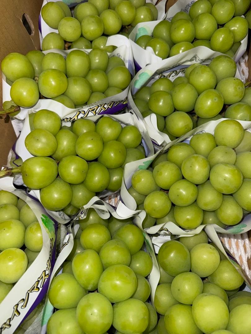 山梨県産JA共選品シャインマスカット⭐️家庭用9房入り箱込み約5.6キロ