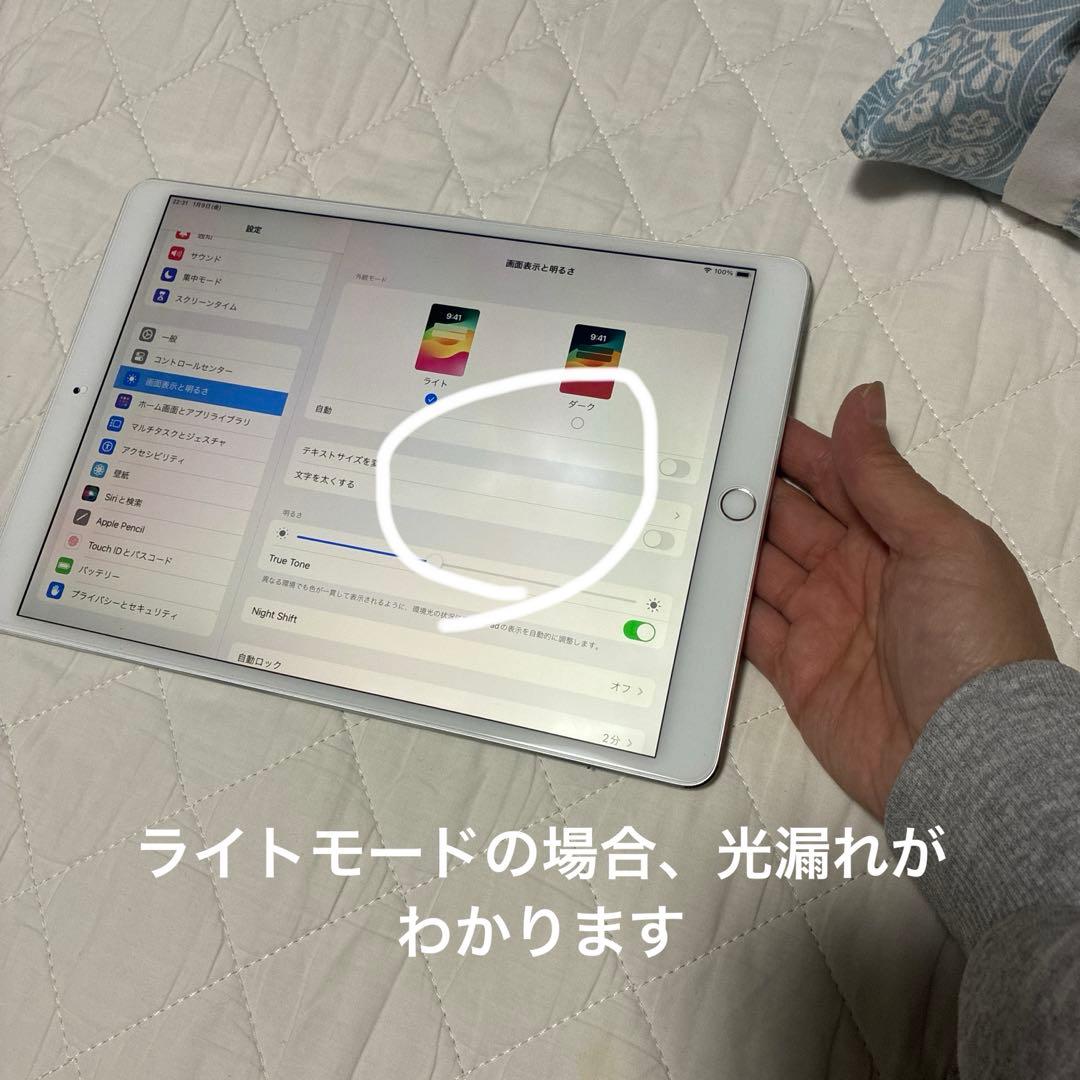 ジャンク★iPad Pro 10.5インチ 256GB/Appleペンシル付き