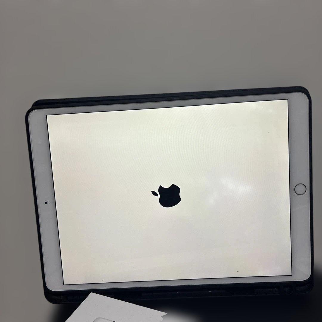 ジャンク★iPad Pro 10.5インチ 256GB/Appleペンシル付き