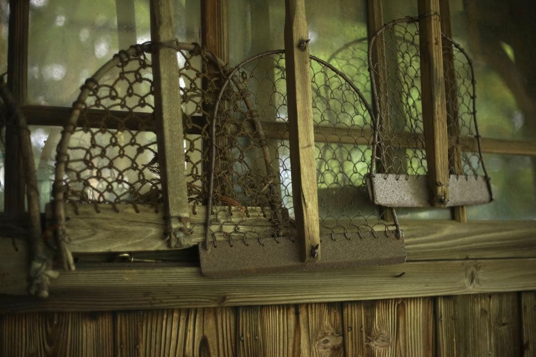 作例付き　NIKON NIKKOR SC AUTO 50mm F1.4 管mpr