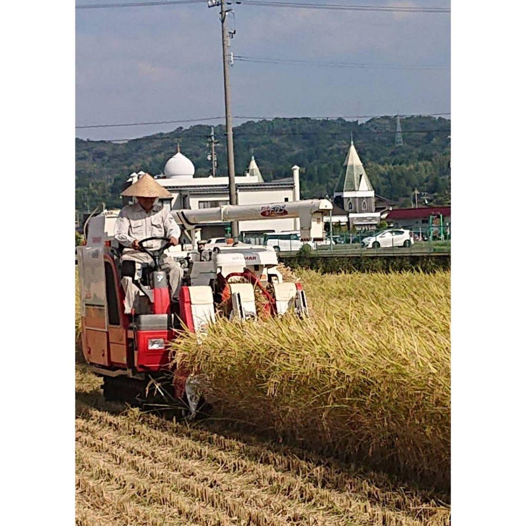 関東、東海、信越、関西地方限定　令和７年富山県産コシヒカリ（白米4.5kg✕2袋