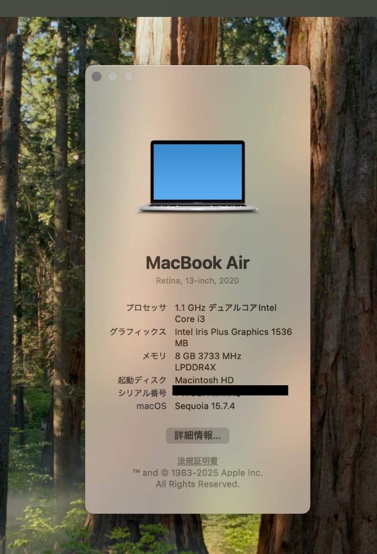 【ぴっけ】MacBook Air 2020 Intel Core