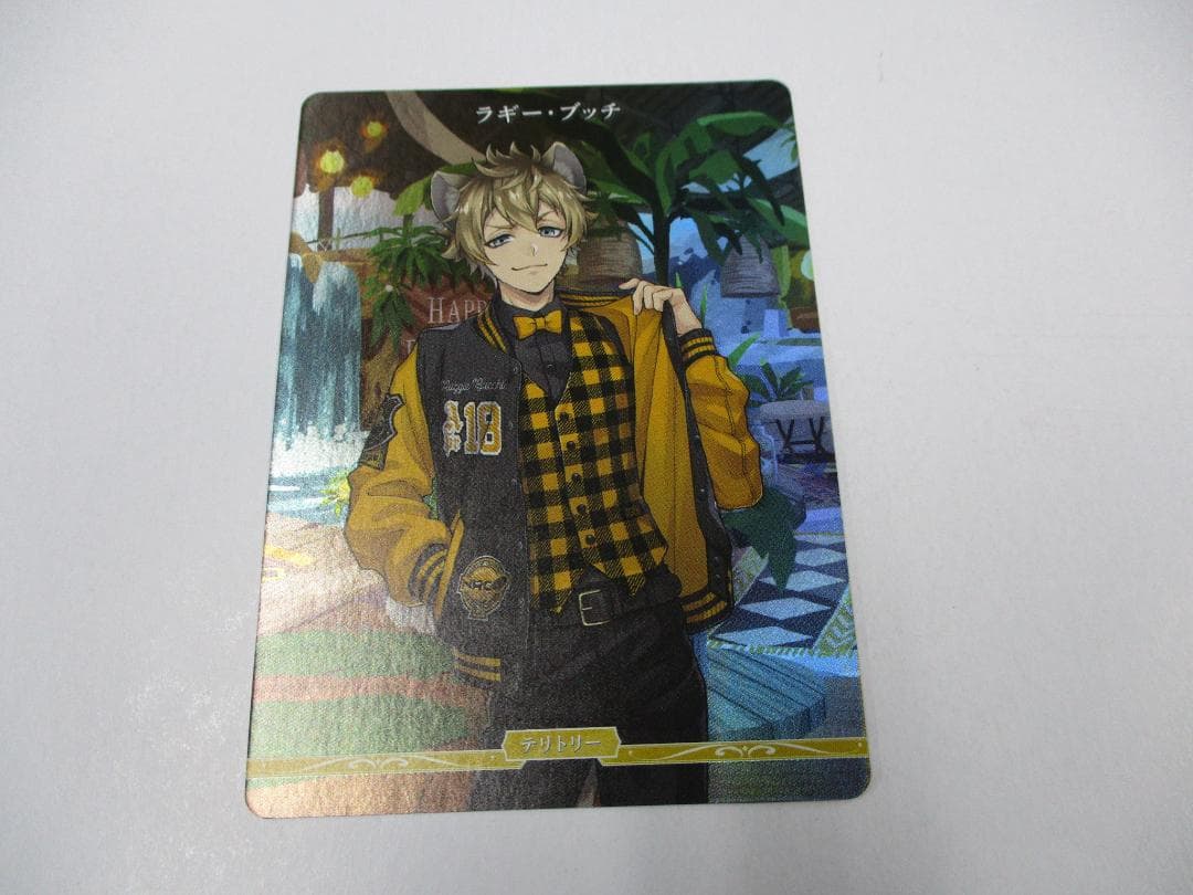 ラギー・ブッチ　プロモーションパック（VT）　ビルディバイド ブライト