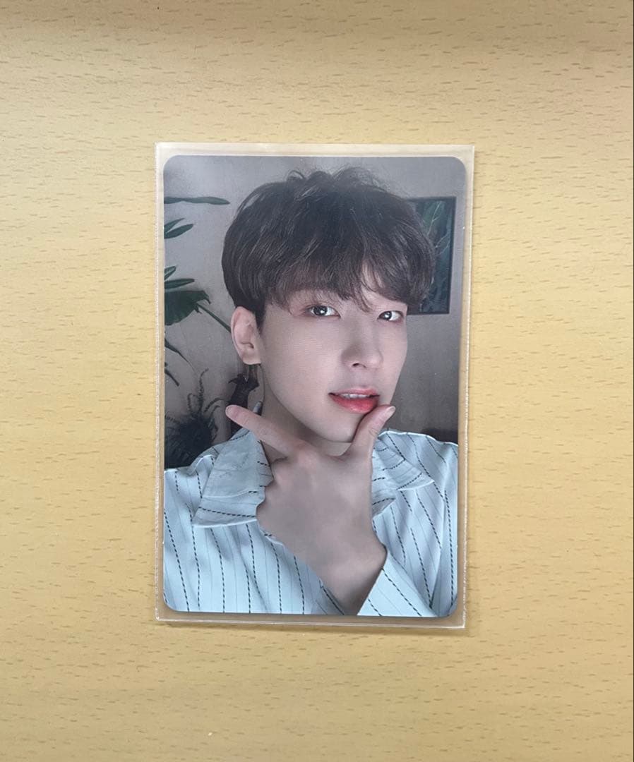 SEVENTEEN セブチ ウォヌ Happy ending Carat盤