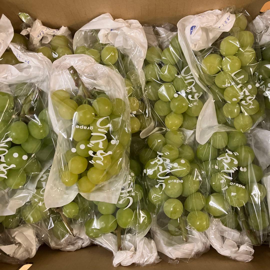 山梨県産訳ありシャイン　32房