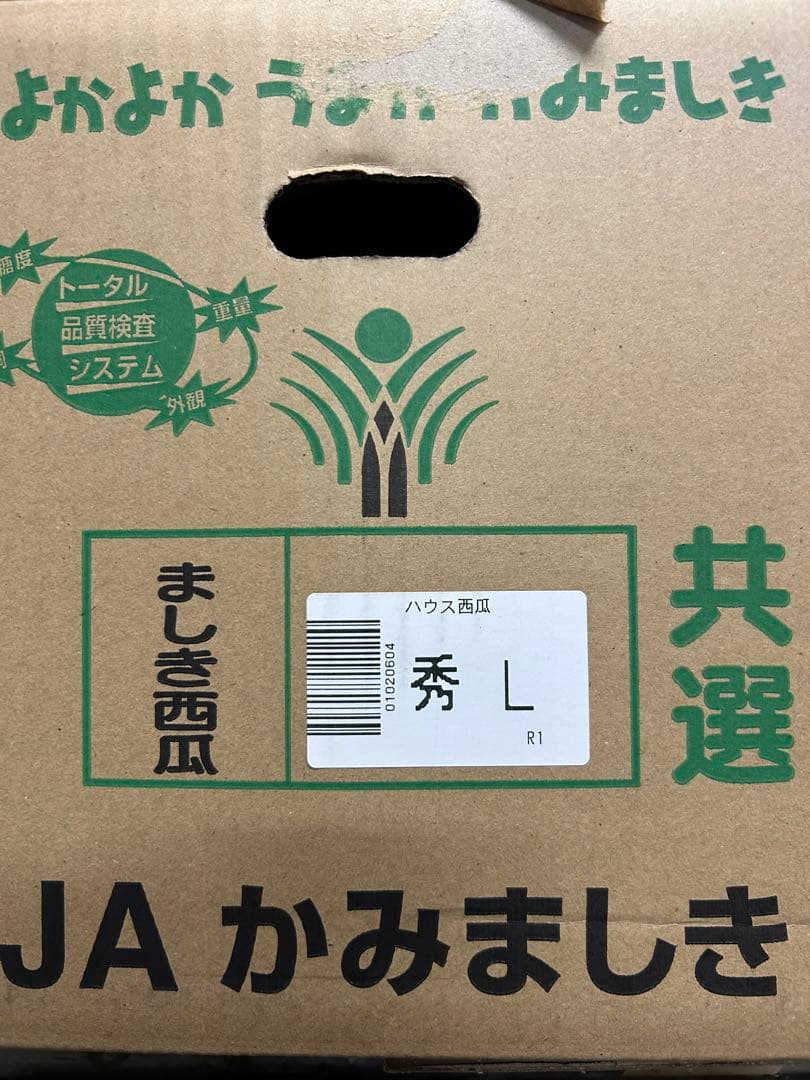 熊本県スイカ秀Lサイズ2玉入り　約14kg