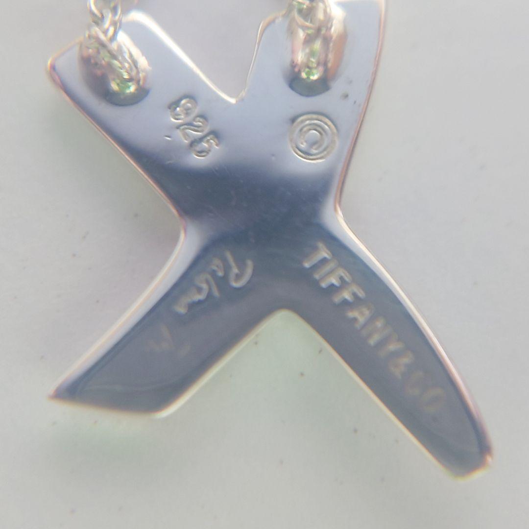 新品同様 ティファニー ネックレス グラフィティキス 925 パロマピカソ