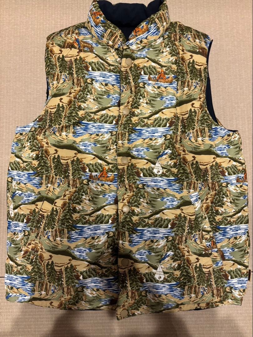 【週末値下げ】ステューシー（Stüssy）ダウンベスト ネイビー 風景柄