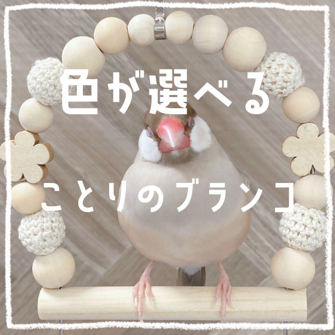 【Cocci☆*。】ことりのあそびば