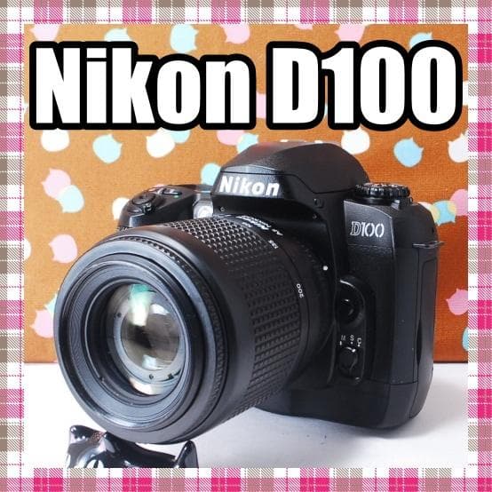 ✨美品✨ハイアマチュア機✨Nikon D100 レンズセット