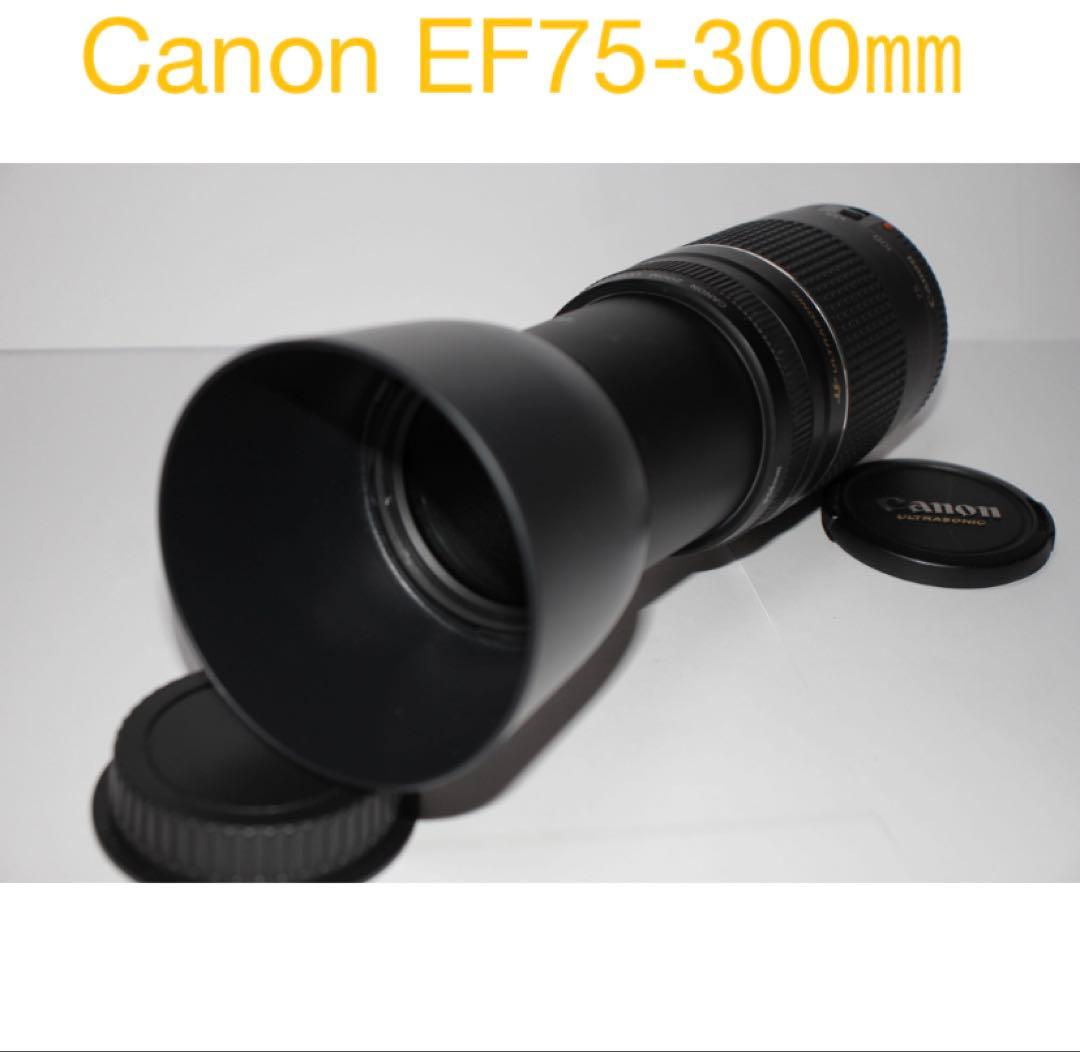デジタル一眼レフカメラ☆超望遠レンズ☆Canon EF75-300㎜I USM