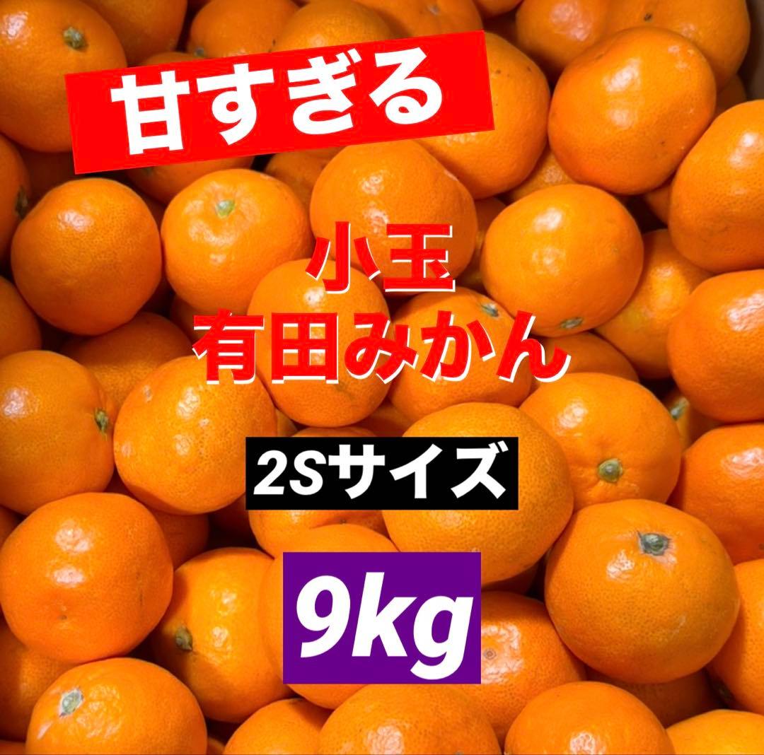 107)数量限定　甘すぎる　有田みかん　果物 　みかん　小玉　旬