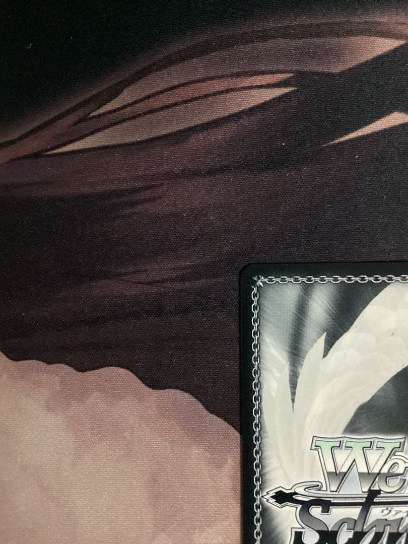 WS 35th Anniversary アーリャ SP サイン