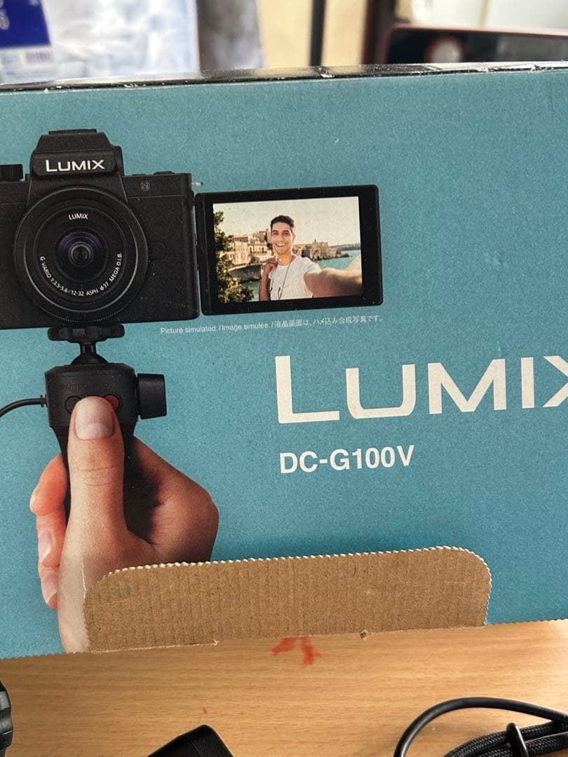 LUMIX DC-G100 Vミラーレス一眼