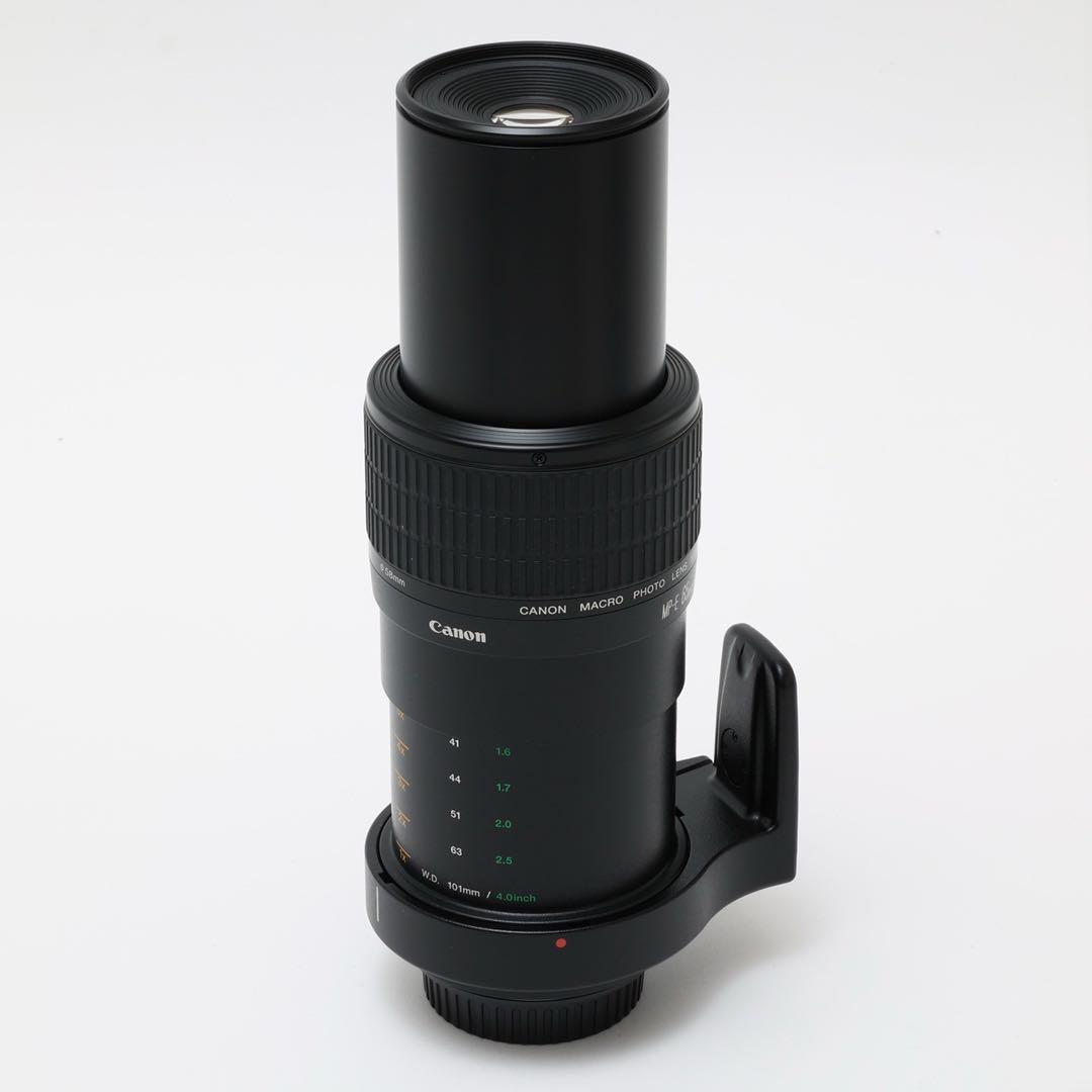 キヤノン Canon MP-E65mm F2.8 1-5X マクロフォト