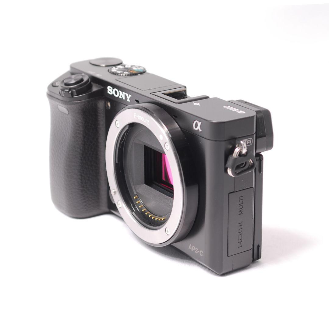 ❤即購入1000円OFF❤ソニー α6000 驚異の11コマ/秒 ミラーレス一眼