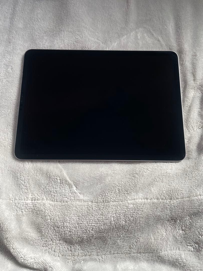 iPad Pro 第四世代256GB 有線LAN、有線ケーブル付