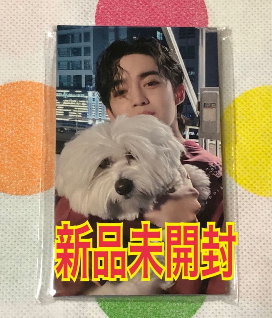 新品未開封 SEVENTEEN FML LOVE 会場限定 トレカ コンプリート