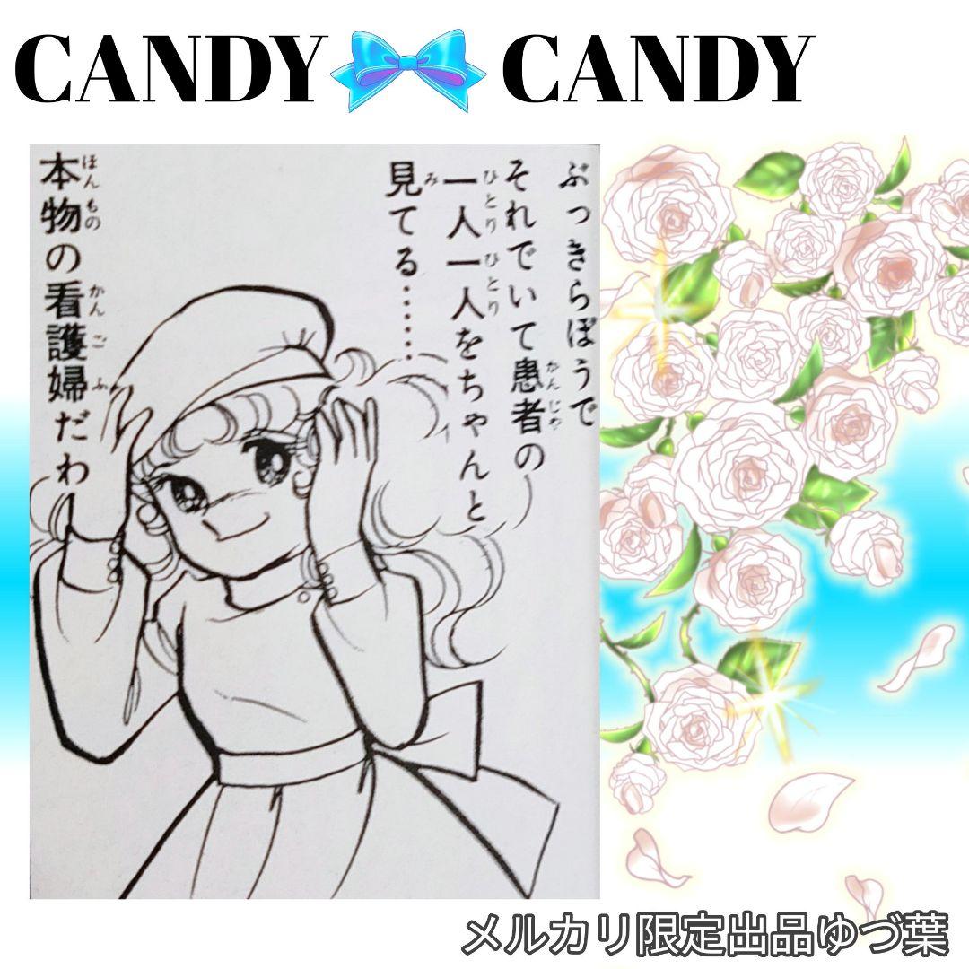 『キャンディ♡キャンディ』&『ジョージィ!』文庫版 全巻 いがらしゆみこ